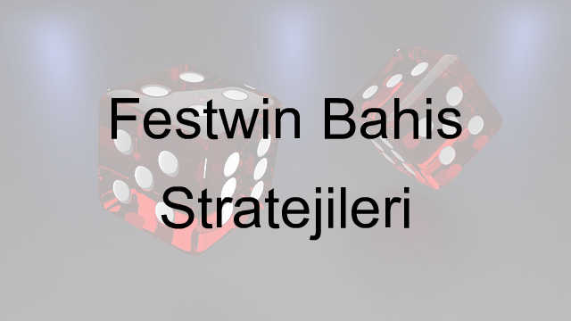 Festwin Bahis