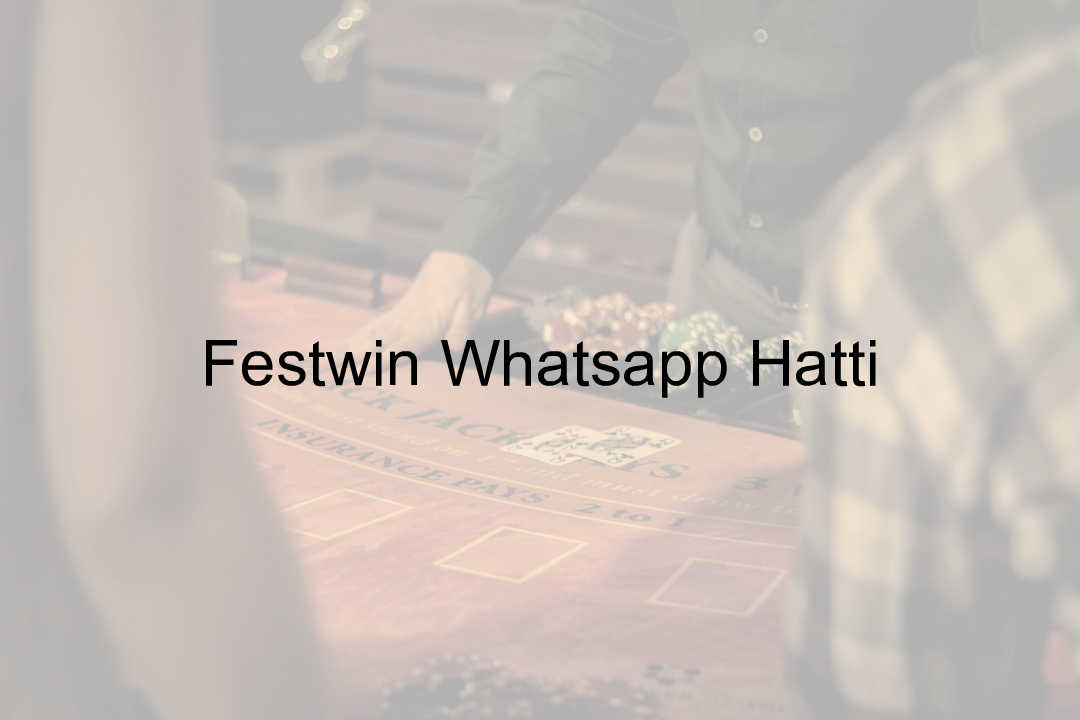 Festwin Whatsapp